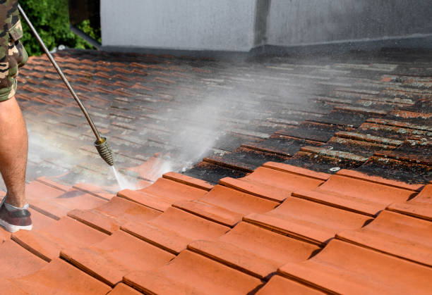 Best Affordable Power Washing  in Pine Valley, CA